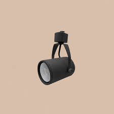 Spot PAR20